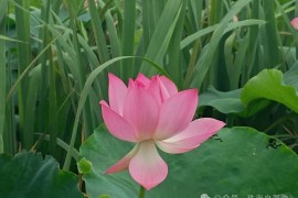 6月南昌自由行，古村峡韵