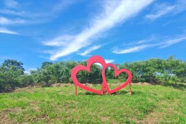 六月自由行，序