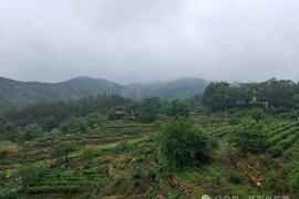 6月九江自由行，庐山观音桥